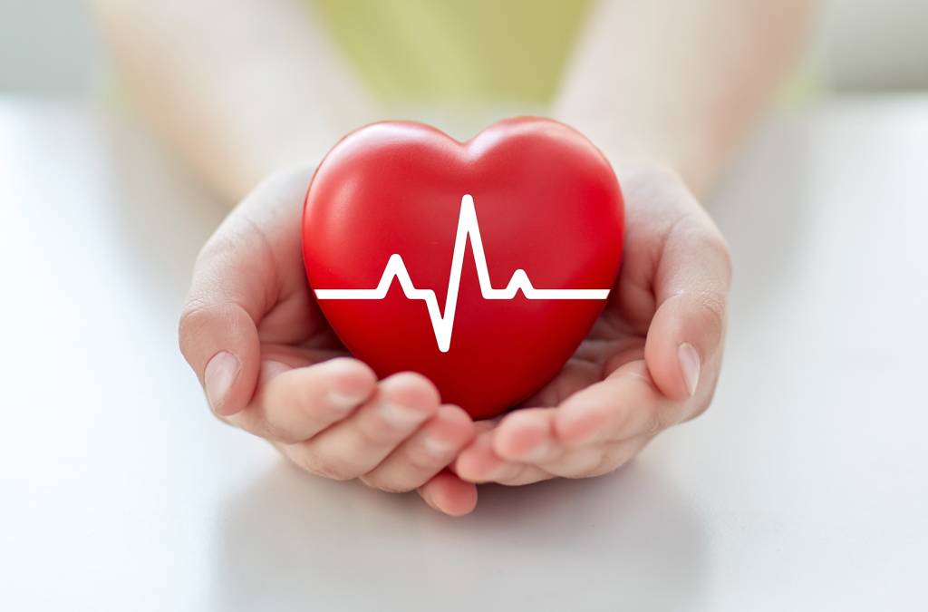 close up of hand with cardiogram on red heart