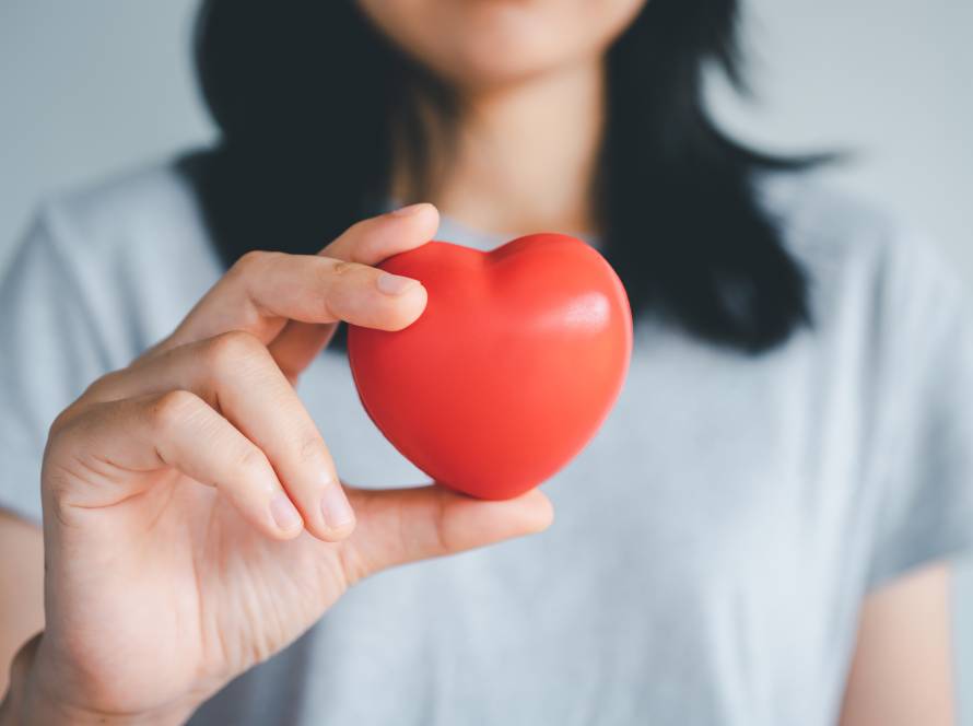 Woman hands holding a red heart, heart health insurance, health