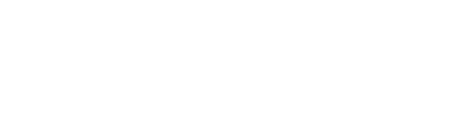 Live LLC Logo